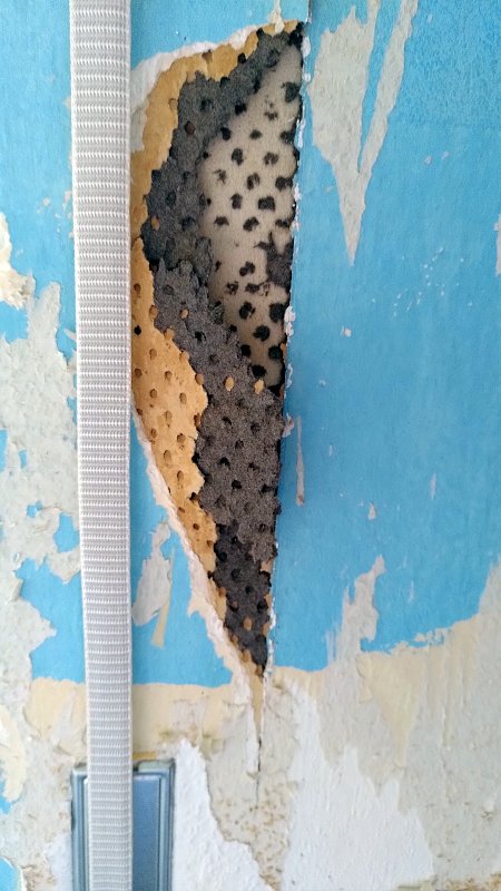 BAU.DE / BAU-Forum: 2. Bild zu Frage "Dunkelgraues Material an Wand im Altbau: Was ist das? Analyse & Gefahren" im BAU-Forum "Wer hat Erfahrung mit"