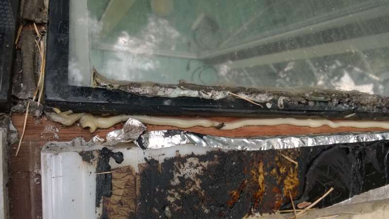 BAU.DE / BAU-Forum: 3. Bild zu Frage "Wintergarten Dach undicht: Ursachen, Reparatur & Abdichtung von Hohlkammerplatten?" im BAU-Forum "Wintergarten" BAU.DE / BAU-Forum: 3. Bild zu Frage "Wintergarten Dach undicht: Ursachen, Reparatur & Abdichtung von Hohlkammerplatten?" im BAU-Forum "Wintergarten"