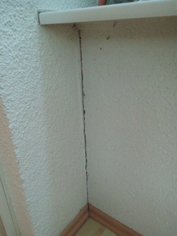 BAU.DE / BAU-Forum: 2. Bild zu Frage "Wintergarten löst sich vom Haus: Ursachen, Risiken & Sanierungsmöglichkeiten?" im BAU-Forum "Wintergarten" BAU.DE / BAU-Forum: 2. Bild zu Frage "Wintergarten löst sich vom Haus: Ursachen, Risiken & Sanierungsmöglichkeiten?" im BAU-Forum "Wintergarten"