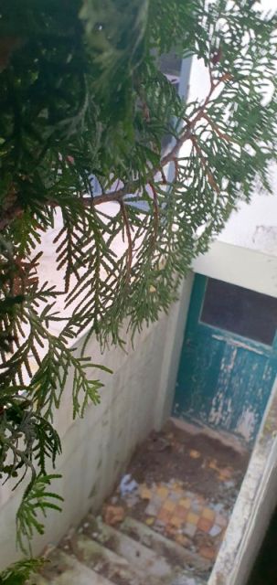 BAU.DE / BAU-Forum: 2. Bild zu Antwort "Terrassen&uuml;berdachung: Drohung vs. Nachbarrecht &ndash; Abstand beachten!" auf die Frage "Mauer entfernen nach 50 Jahren: &Uuml;berbau, Absturzsicherung & Bestandsschutz?" im BAU-Forum "Wohnungseigentum, Immobilien"