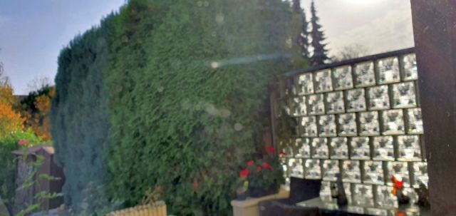 BAU.DE / BAU-Forum: 3. Bild zu Antwort "Terrassen&uuml;berdachung: Drohung vs. Nachbarrecht &ndash; Abstand beachten!" auf die Frage "Mauer entfernen nach 50 Jahren: &Uuml;berbau, Absturzsicherung & Bestandsschutz?" im BAU-Forum "Wohnungseigentum, Immobilien"