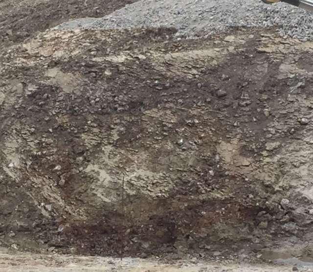 Bild zu Inserat-Nr. 1669802260