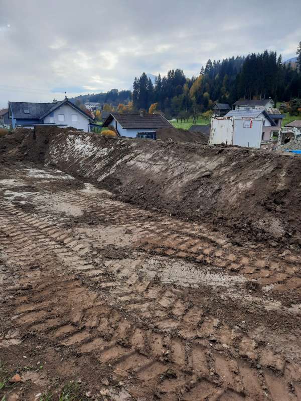 Bild zu Inserat-Nr. 1712733496