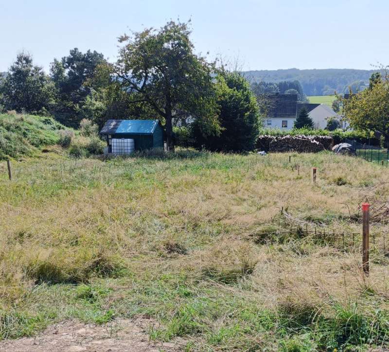 Bild zu Inserat-Nr. 1725615608