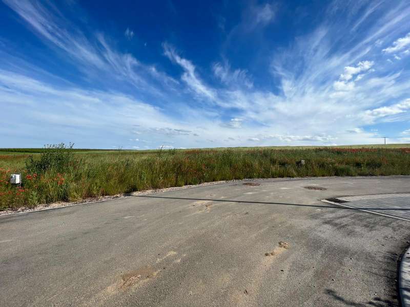 Bild zu Inserat-Nr. 1730634632