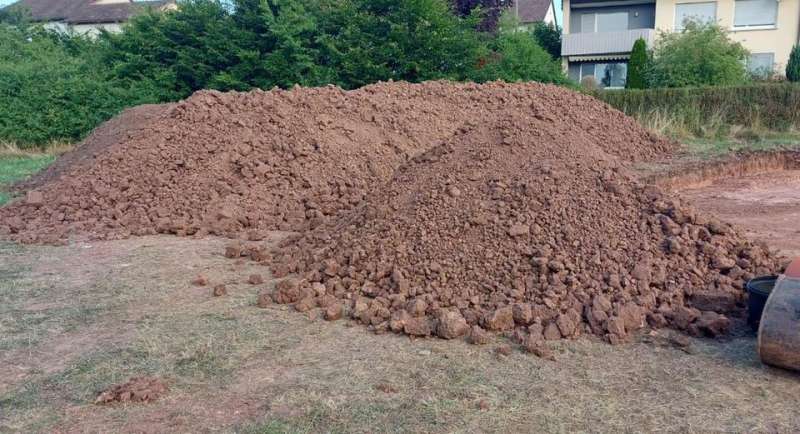 Bild zu Inserat-Nr. 1754721385