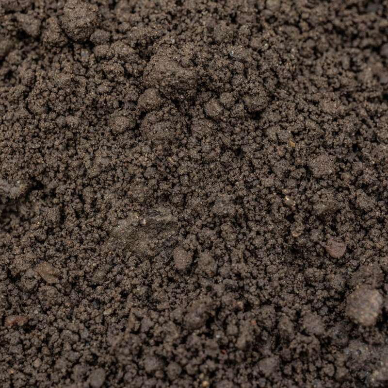 Bild zu Inserat-Nr. 1774338244