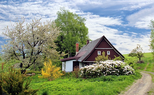 Baumplanung im neuen Garten