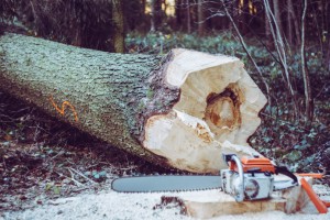 Professionelle Baugeräte für Handwerker: Mehr als nur Werkzeug - Bild: Markus Spiske / Unsplash Professionelle Baugeräte für Handwerker: Mehr als nur Werkzeug - Bild: Markus Spiske / Unsplash