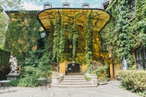 Grüne Fassaden gestalten: Verwandeln Sie Ihre Hauswand in eine blühende Oase - Bild: Nick Night / Unsplash