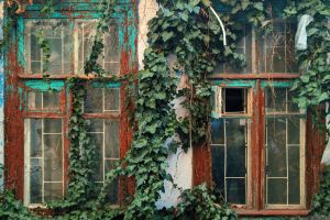 Der Fenstertausch beschreibt den Prozess des Ersetzens bestehender Fenster durch neue, oft leistungsfähigere und energieeffizientere Fenster.