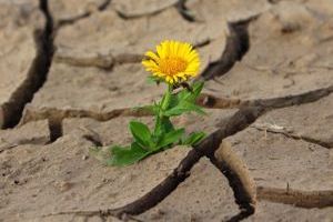 Hitze bezeichnet eine hohe Temperatur oder die thermische Energie, die zu einer Erwärmung von Materialien oder der Umgebung führt.