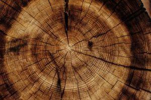 Massivholzmöbel sind Möbelstücke, die aus massivem Holz gefertigt sind, ohne dass Holzwerkstoffe oder Holzverbundstoffe wie Sperrholz, MDF oder Furnier verwendet werden.