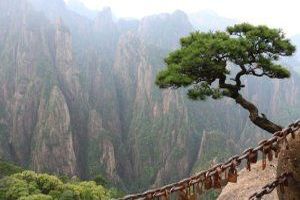 Eine Naturkatastrophe ist ein plötzliches, extremes und oft zerstörerisches Ereignis in der Natur, das menschliches Leben, Eigentum und die Umwelt bedroht oder schädigt.