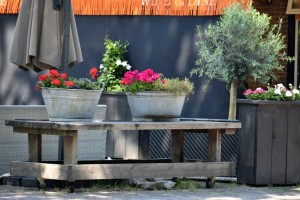 Langlebig, flexibel, eigenständig: Pflanzideen aus Metall - Bild: Ries Bosch / Unsplash Langlebig, flexibel, eigenständig: Pflanzideen aus Metall - Bild: Ries Bosch / Unsplash