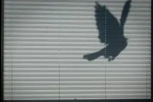 Materialkunde für Profis: Hochwertige Stoffe und Technologien im Plissee-Markt - Bild: Foto von Mavi Atlas auf Unsplash Materialkunde für Profis: Hochwertige Stoffe und Technologien im Plissee-Markt - Bild: Foto von Mavi Atlas auf Unsplash