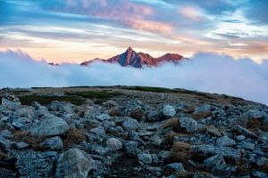 Rauchgas bezeichnet die Abgase, die bei der Verbrennung von Materialien entstehen. Rauchgas bezeichnet die Abgase, die bei der Verbrennung von Materialien entstehen.