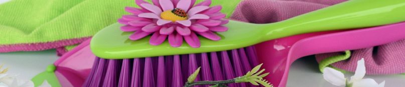 Bodenpflege leicht gemacht: Die besten Methoden für saubere Teppiche und Böden