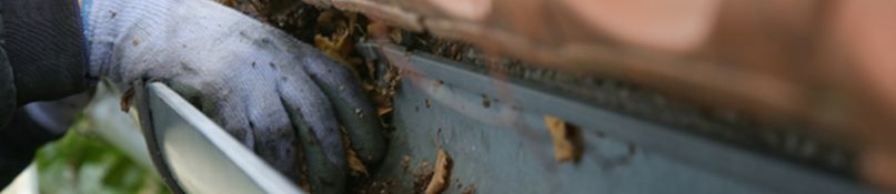 Dachrinnen selbst reinigen und pflegen: Praktische Tipps für schwer erreichbare Stellen