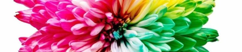 Fototapete mit Architektur - ein Rezept für ein modernes Wohnzimmer