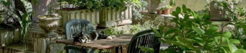 Terrasse sanieren: Diese Möglichkeiten es gibt