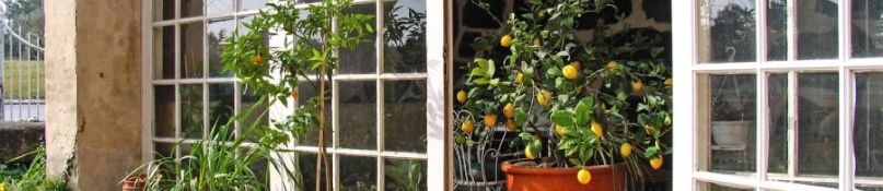 Wintergarten-Rollladen