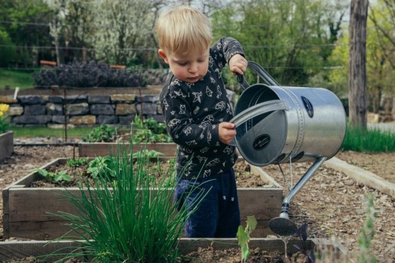 Gardening bezeichnet die Praxis des Anbaus und der Pflege von Pflanzen, sei es in einem Garten, auf einem Balkon, auf einem Feld oder in einem Gewächshaus. Gardening bezeichnet die Praxis des Anbaus und der Pflege von Pflanzen, sei es in einem Garten, auf einem Balkon, auf einem Feld oder in einem Gewächshaus.