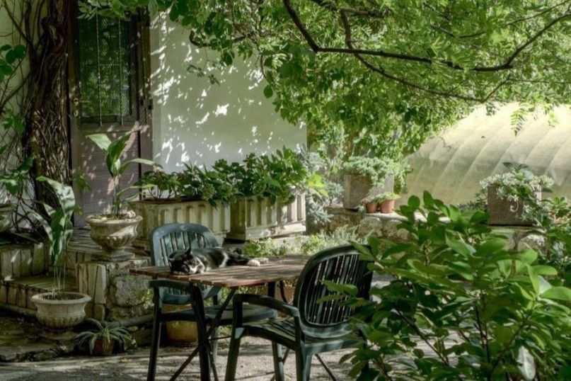 Ein Gartentor ist eine Tür oder ein Eingang in einen Garten oder ein Grundstück.