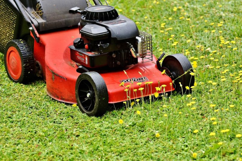 Eine Grasmischung ist eine sorgfältig zusammengestellte Kombination verschiedener Grassorten und -arten, die für spezifische Zwecke und Bedingungen optimiert ist. Eine Grasmischung ist eine sorgfältig zusammengestellte Kombination verschiedener Grassorten und -arten, die für spezifische Zwecke und Bedingungen optimiert ist.