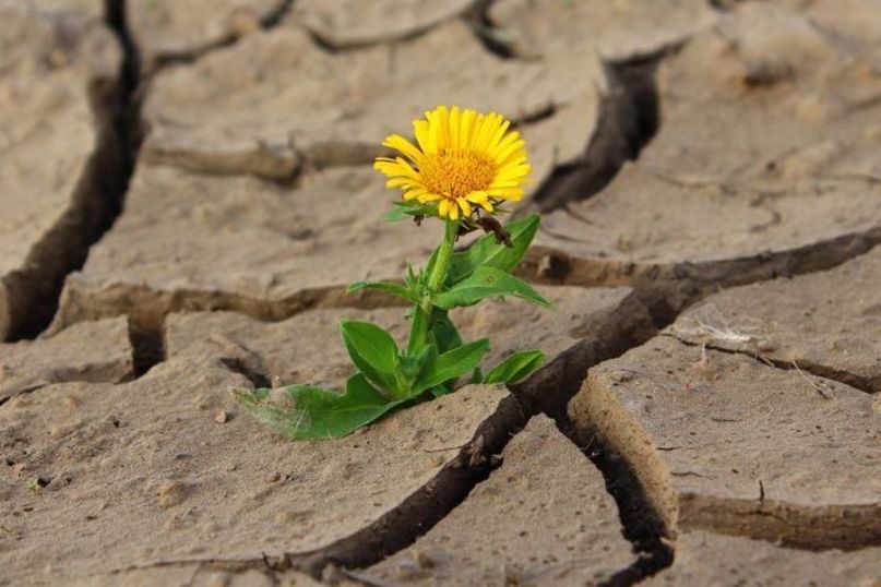 Hitze bezeichnet eine hohe Temperatur oder die thermische Energie, die zu einer Erwärmung von Materialien oder der Umgebung führt.