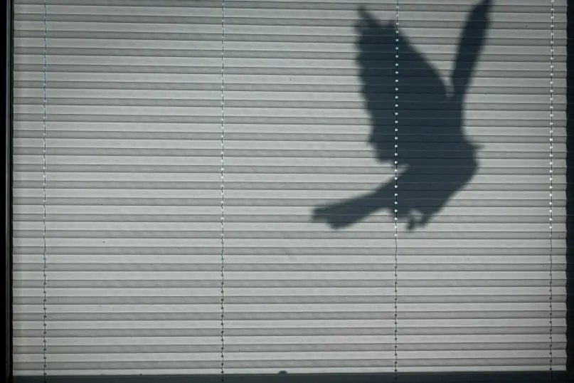 Der Plissee-Markt bezieht sich auf die Branche, die sich mit der Herstellung, dem Vertrieb und dem Handel von Plissees besch&auml;ftigt.