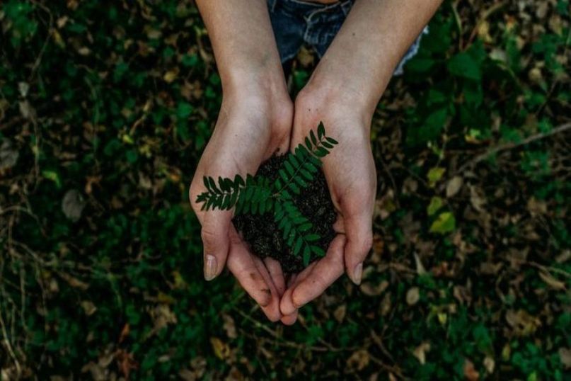 Umweltentlastung bedeutet, den menschlichen Einfluss auf die Umwelt zu reduzieren. Umweltentlastung bedeutet, den menschlichen Einfluss auf die Umwelt zu reduzieren.